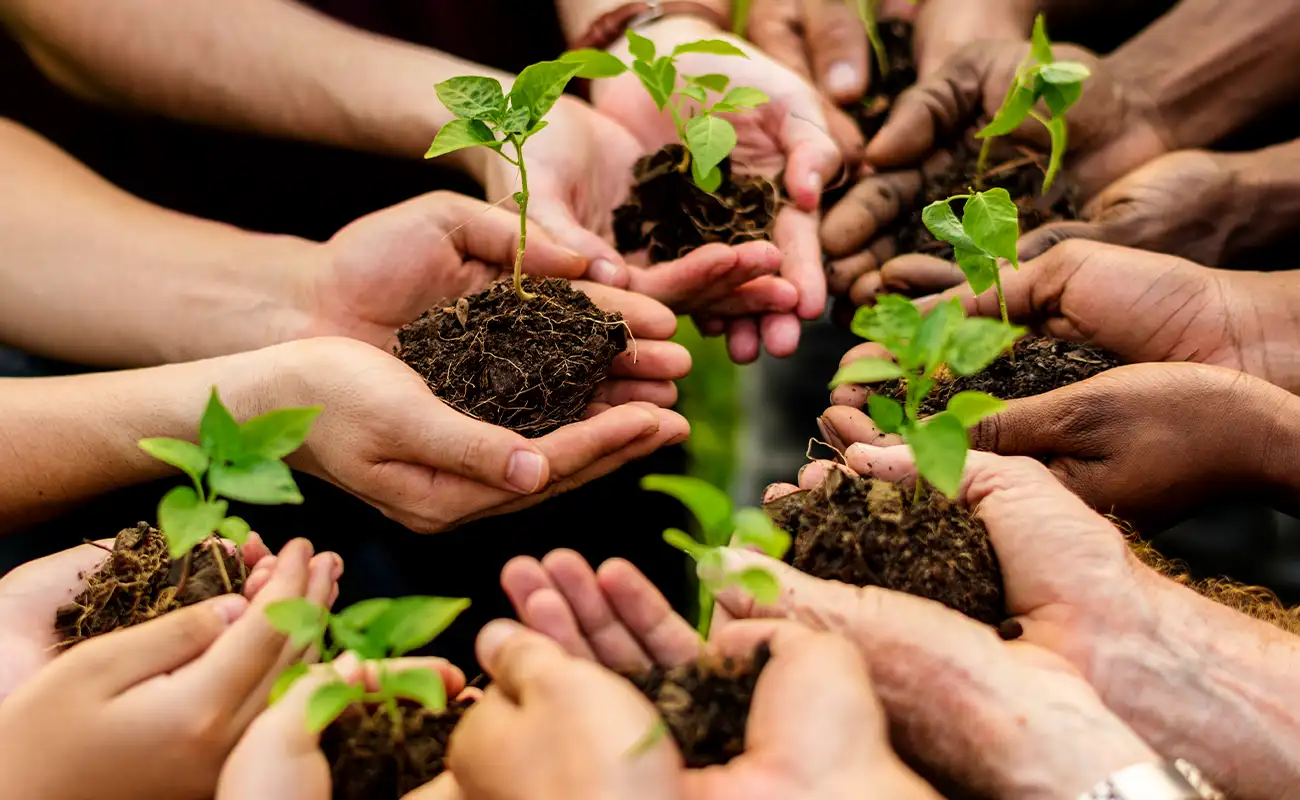 Committed to a Greener Future