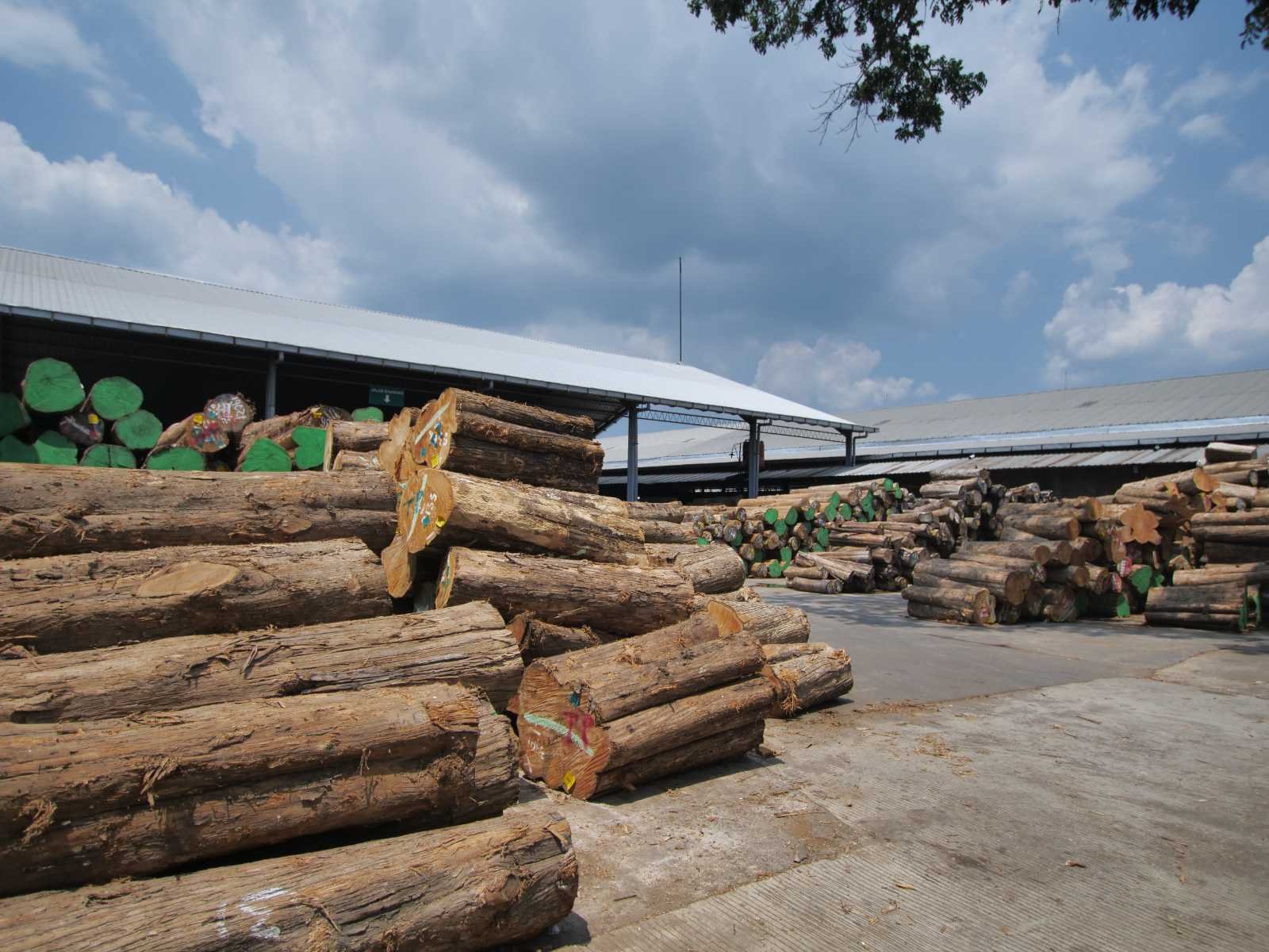 CV Karya Exindo Prima: Crafting World-Class Furniture from Jepara