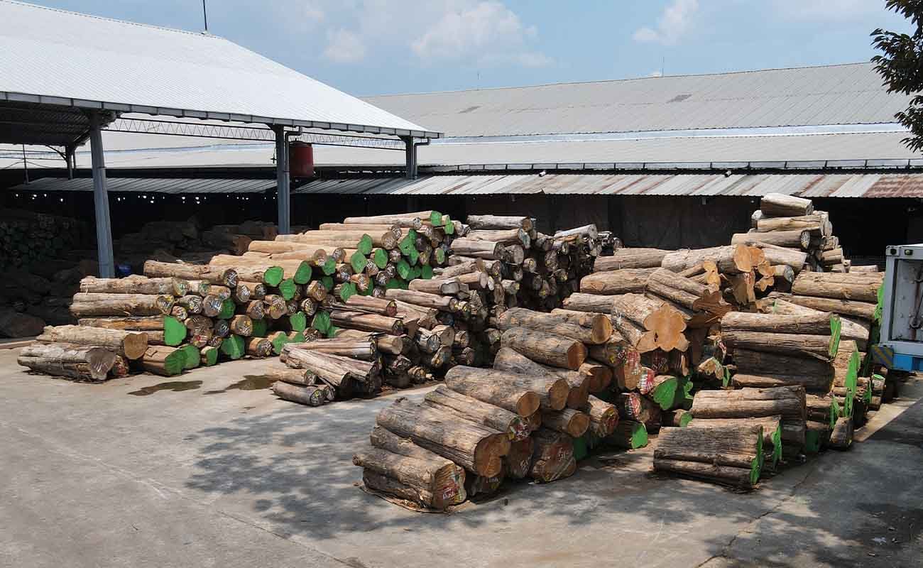 How to Choose the Best Teak Wood for Your Furniture