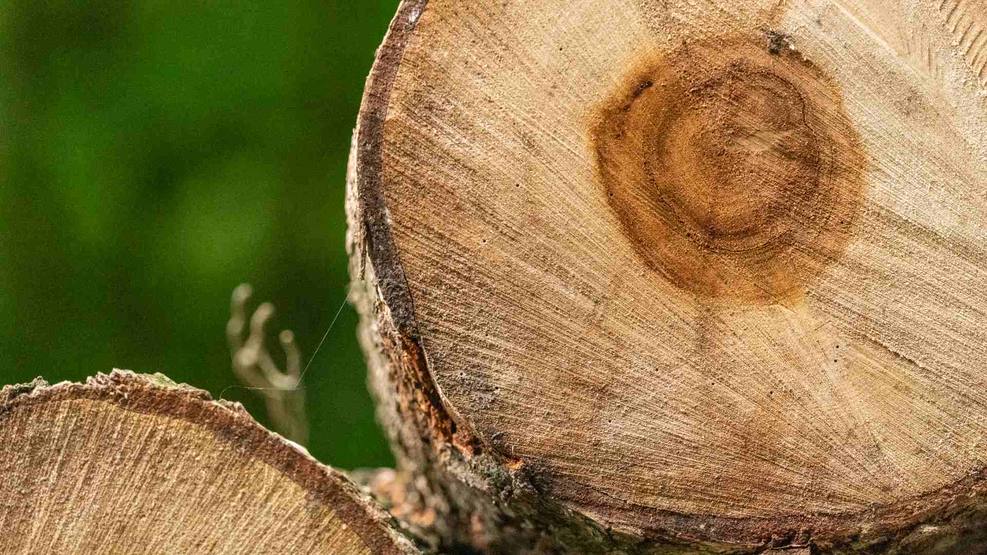 Best Materials for Outdoor Furniture Export: Teak, Aluminium, or Synthetic Rattan?